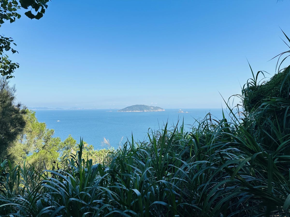 【2025馬祖漫島生活尋步馬祖GO! 踩點活動體驗】北竿芹