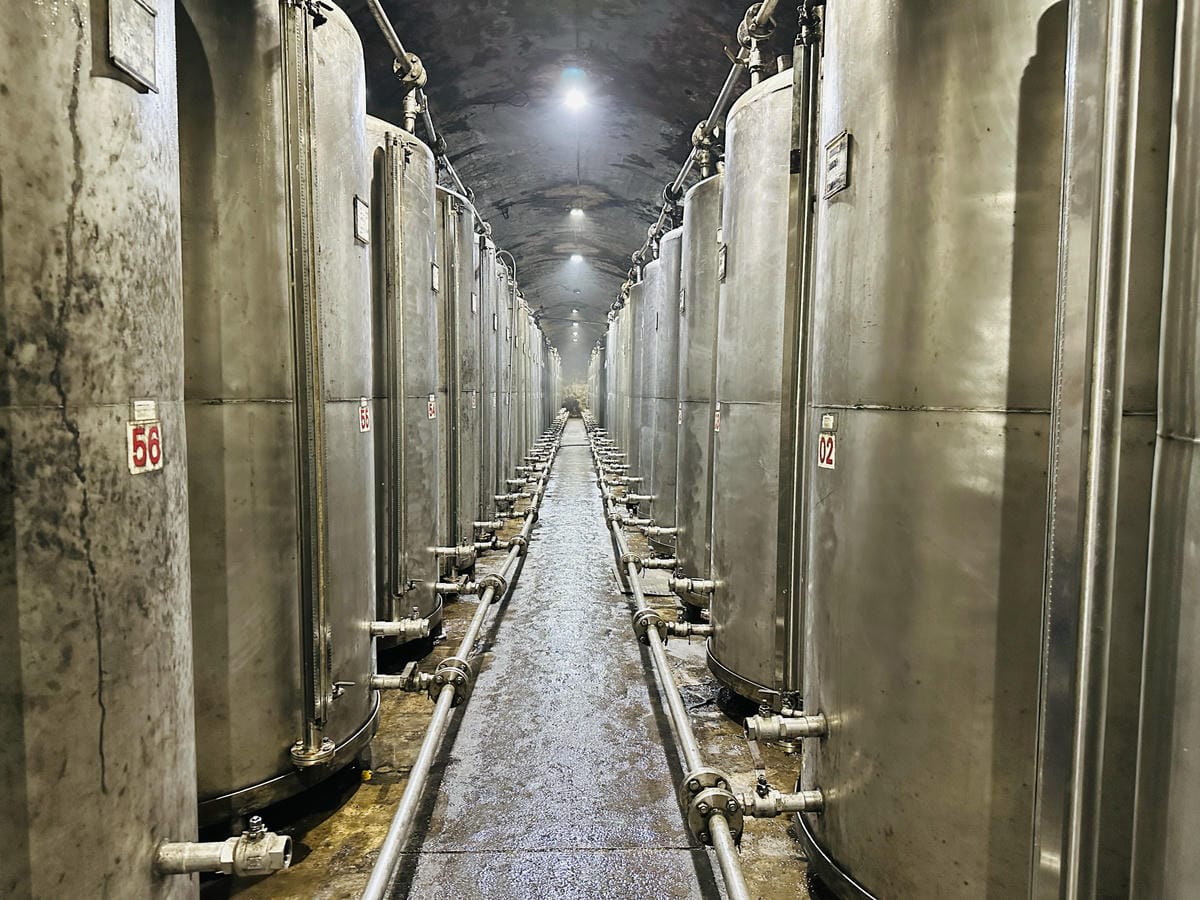 2025馬祖國際藝術島官方一日遊藍色創藝航線深度體驗攻略+