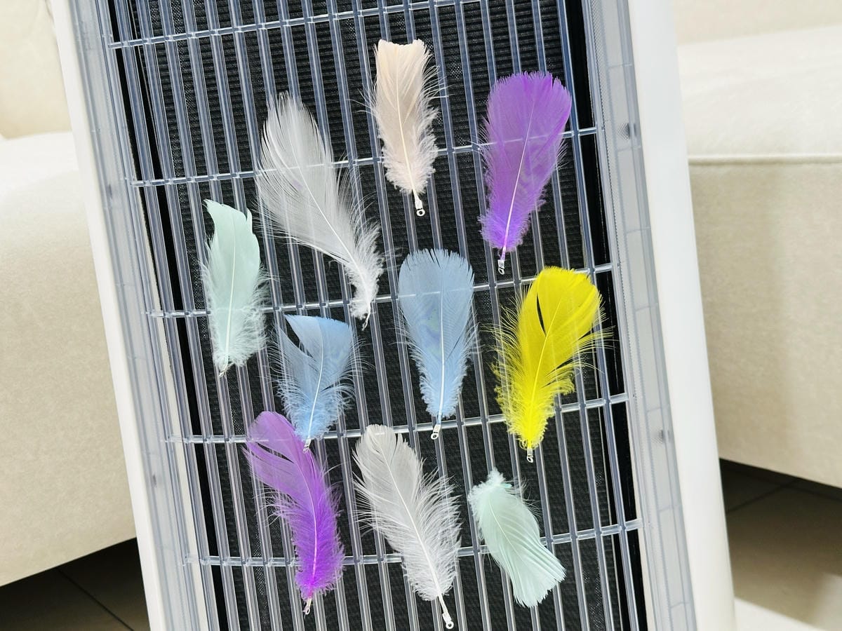 SoleusAir 吸毛大師宅配開箱長毛臘腸家必備的毛髮救