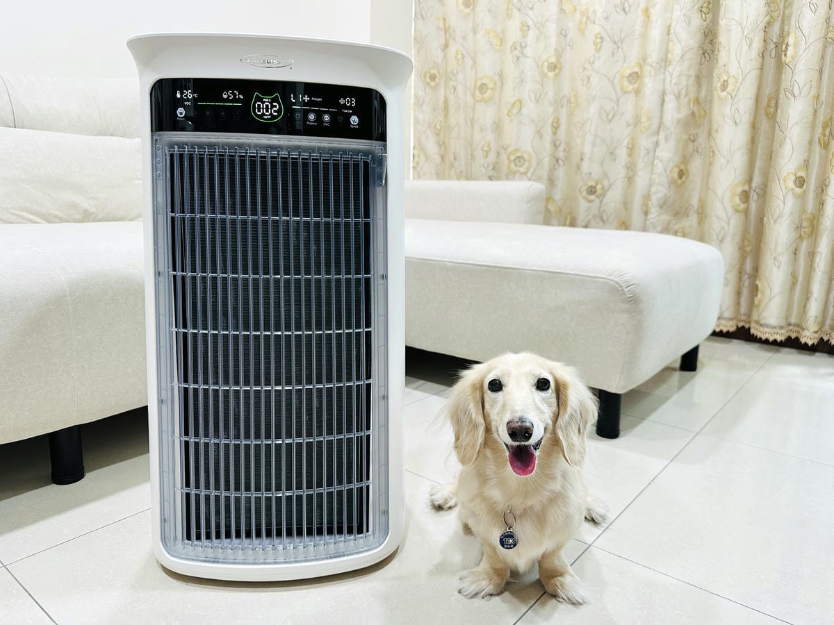 SoleusAir 吸毛大師宅配開箱長毛臘腸家必備的毛髮救