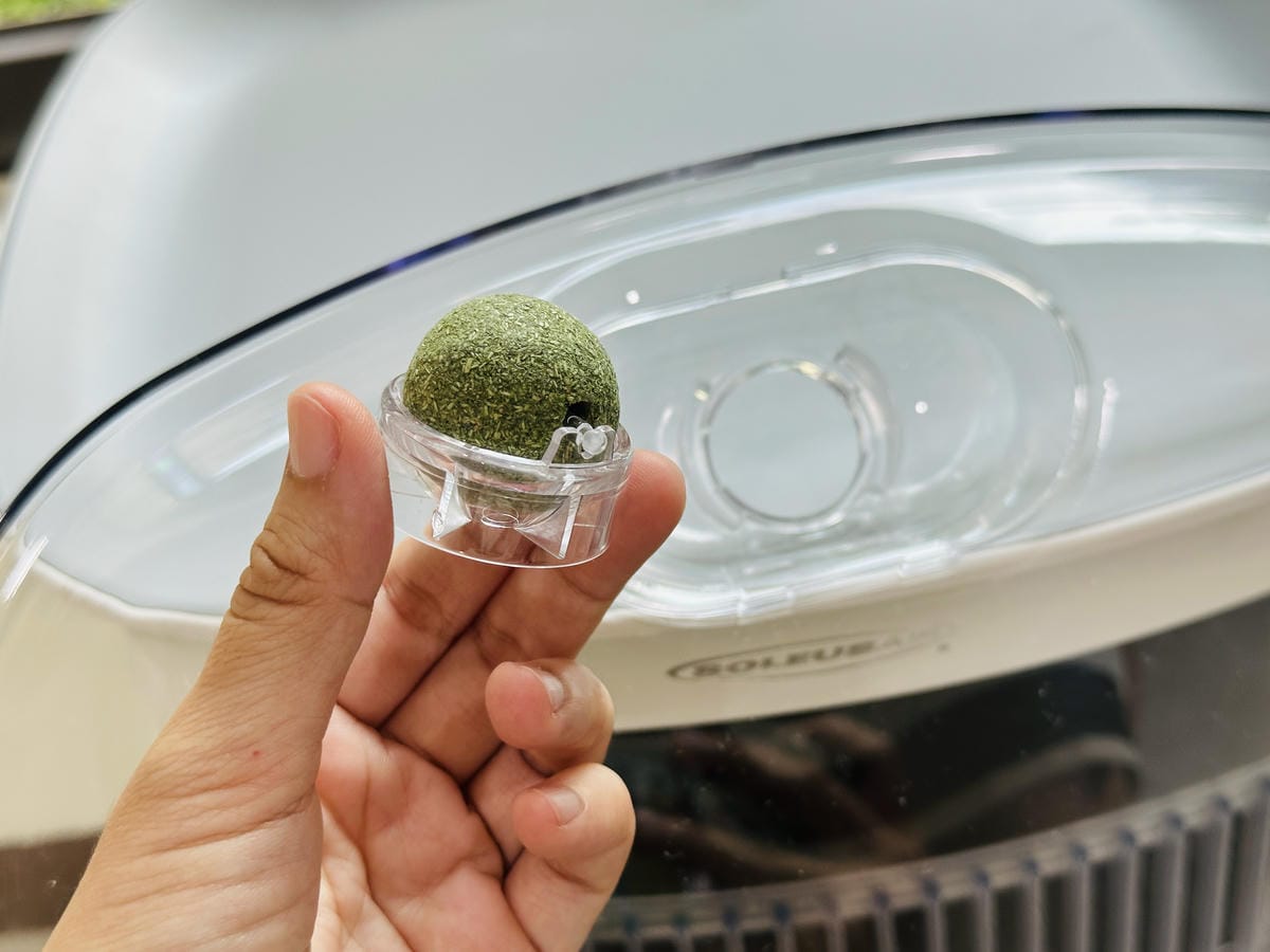 SoleusAir 吸毛大師宅配開箱長毛臘腸家必備的毛髮救