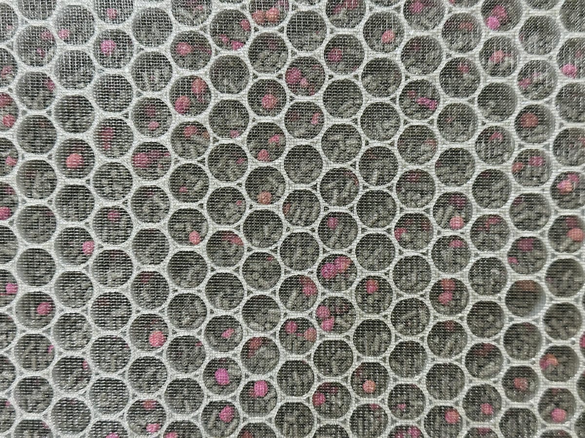 SoleusAir 吸毛大師宅配開箱長毛臘腸家必備的毛髮救