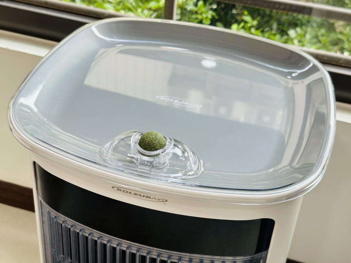 SoleusAir 吸毛大師宅配開箱長毛臘腸家必備的毛髮救