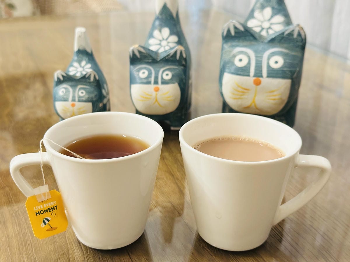 【香林薇拉】嘉義竹崎超人氣親子民宿入住「薇童年」房,開啟滿