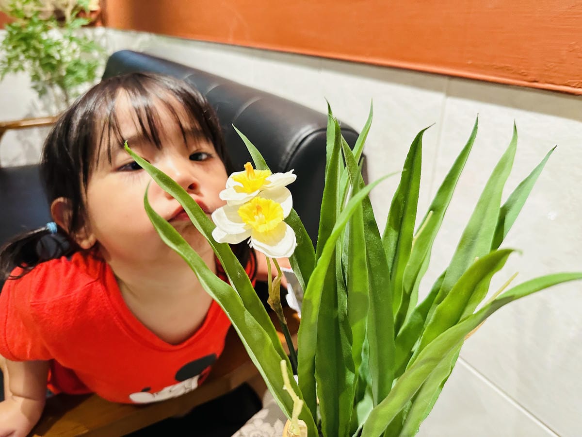 【行滿旅宿】嘉義竹崎親子包棟首選懷舊古玩、KTV嗨唱、煙火