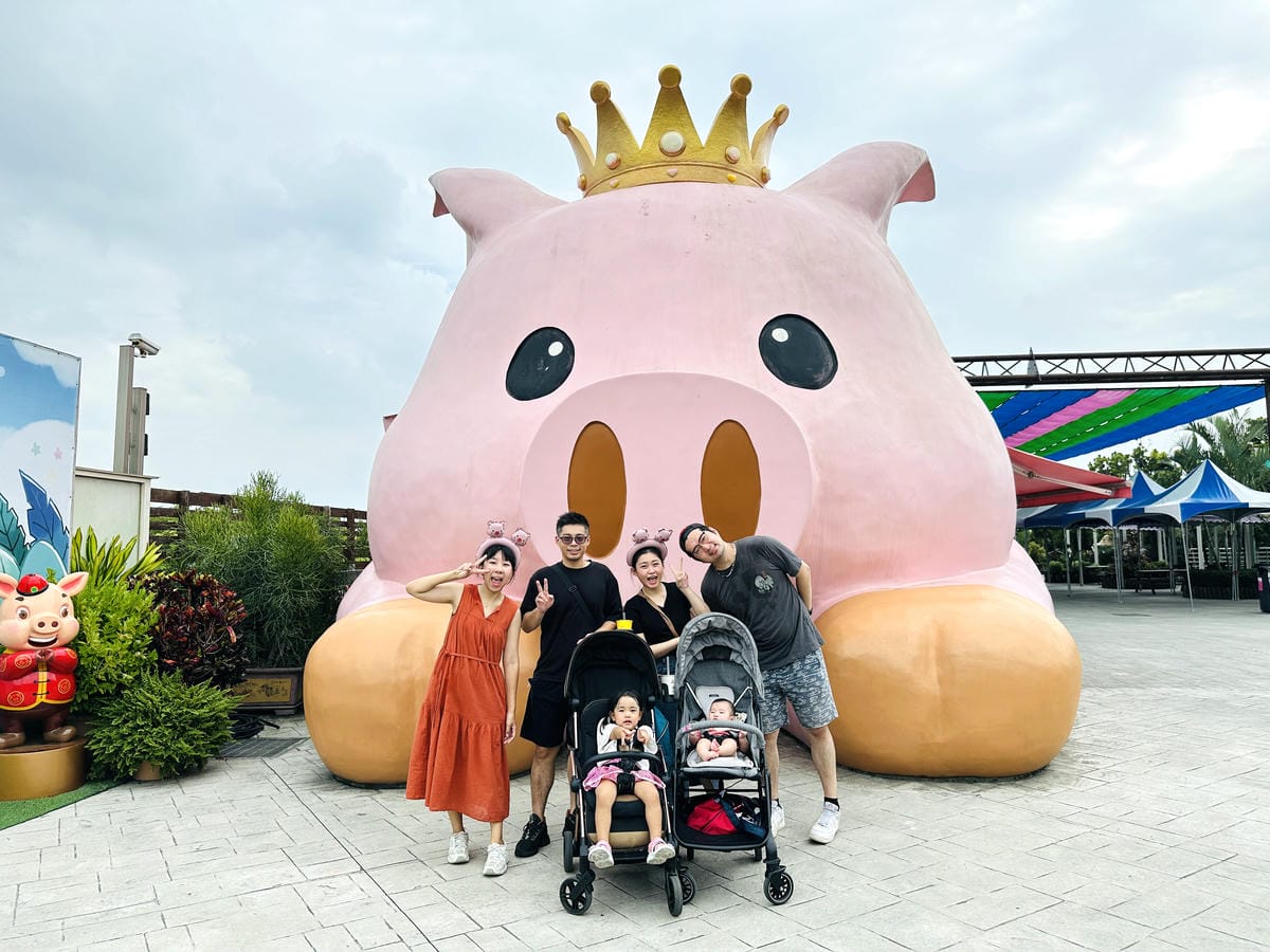 【徐徐民宿】嘉義竹崎20人包棟推薦電梯、KTV、烤肉區與玩