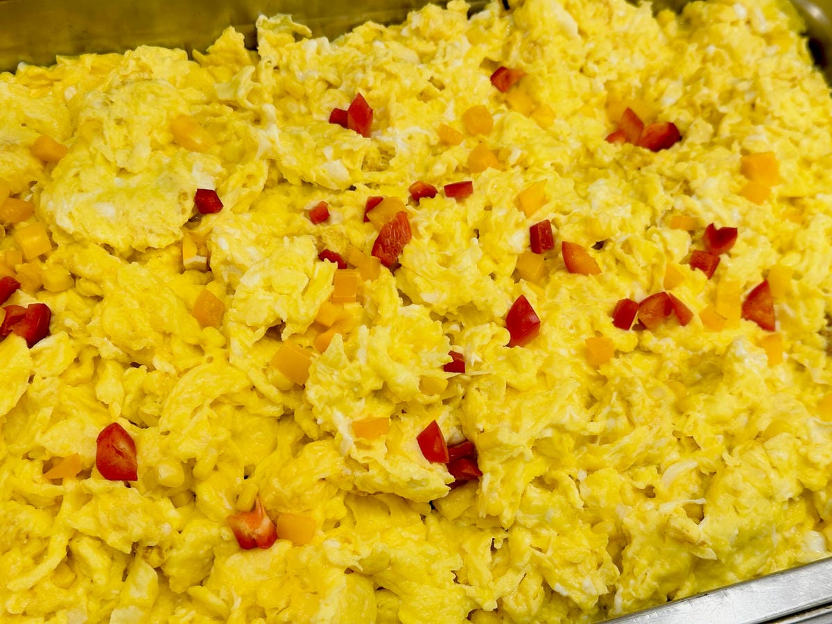 【大板根森林溫泉酒店】新北三峽寵物親子房入住開箱森林、溫泉