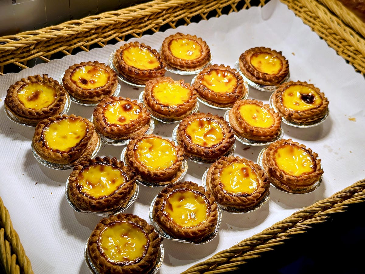 【大板根森林溫泉酒店】新北三峽寵物親子房入住開箱森林、溫泉