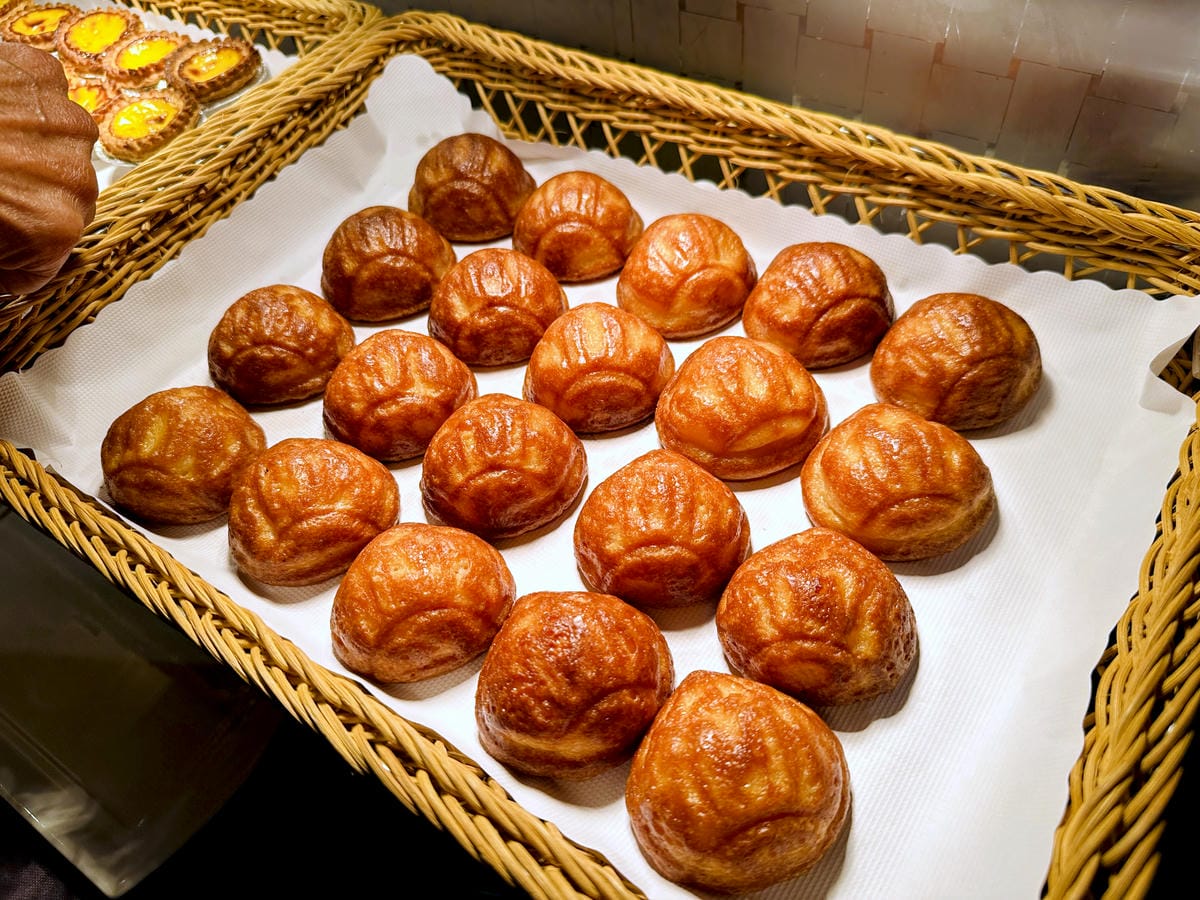 【大板根森林溫泉酒店】新北三峽寵物親子房入住開箱森林、溫泉