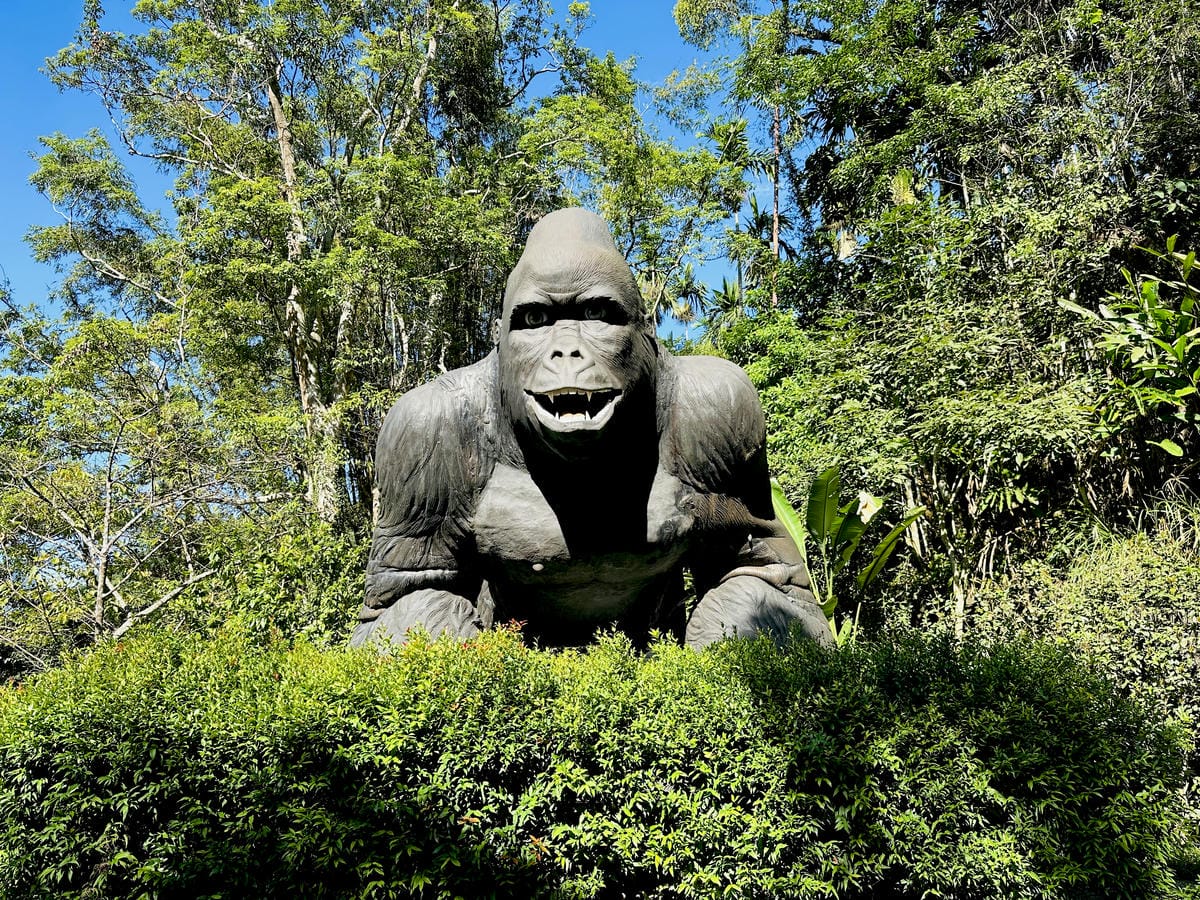 【大板根森林溫泉酒店】新北三峽寵物親子房入住開箱森林、溫泉