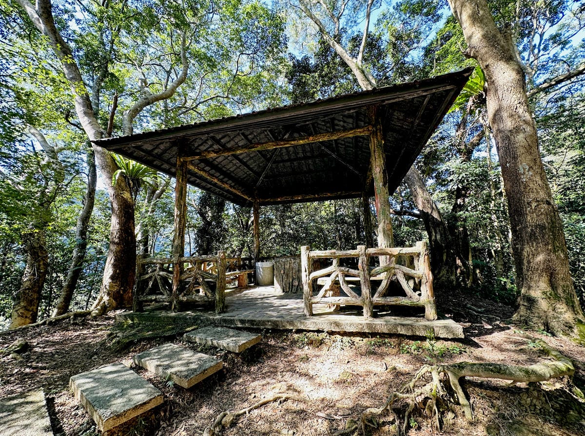 【大板根森林溫泉酒店】新北三峽寵物親子房入住開箱森林、溫泉