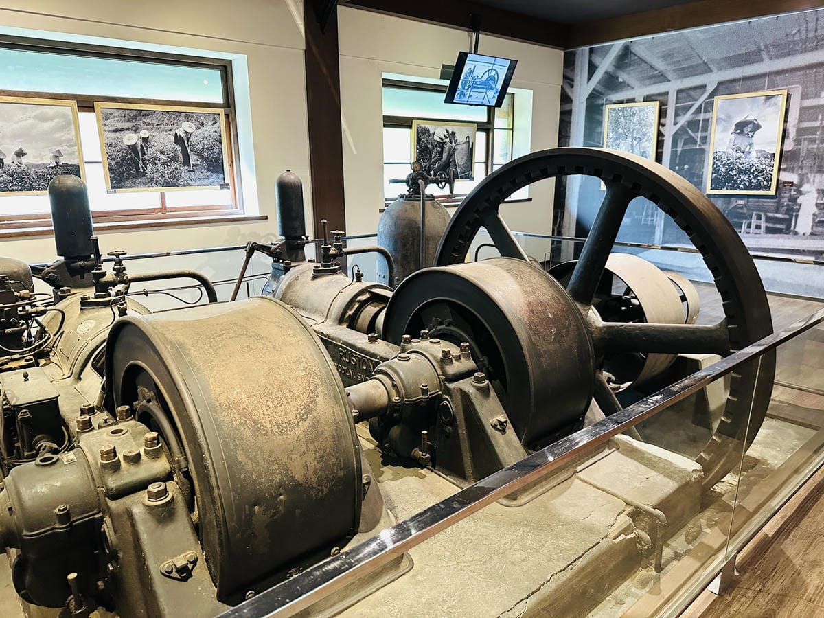 【大板根森林溫泉酒店】新北三峽寵物親子房入住開箱森林、溫泉