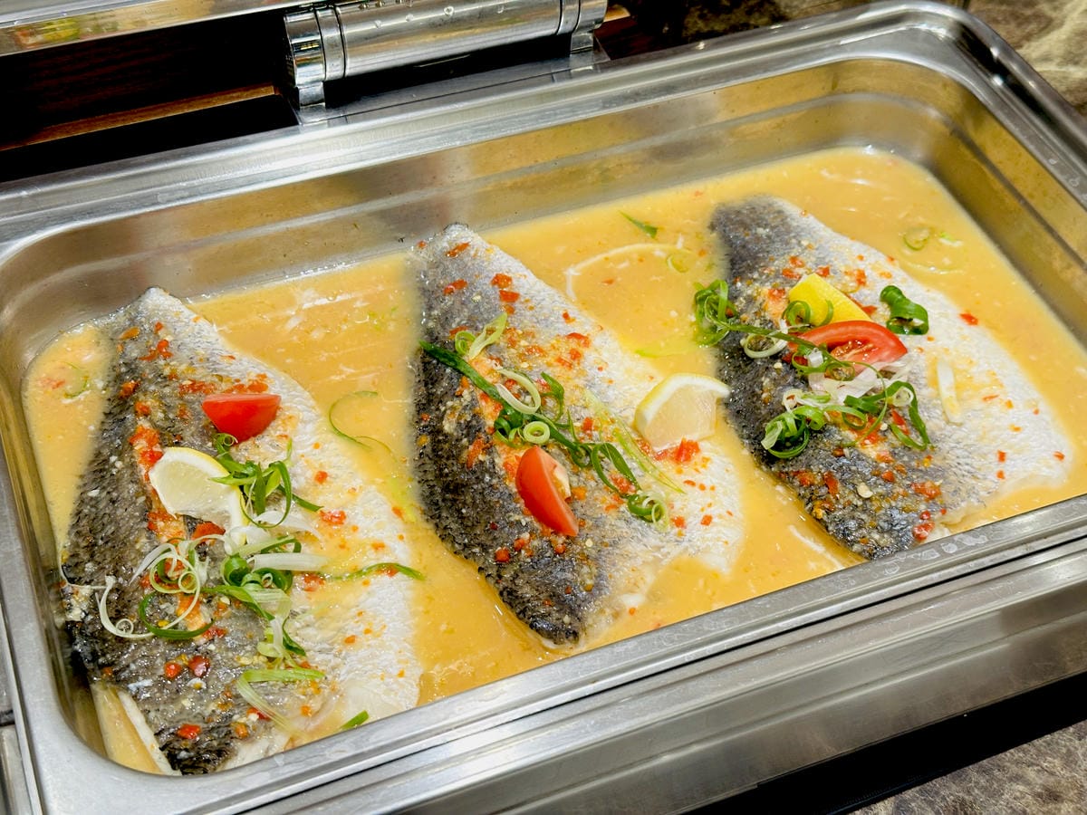 【大板根森林溫泉酒店】新北三峽寵物親子房入住開箱森林、溫泉