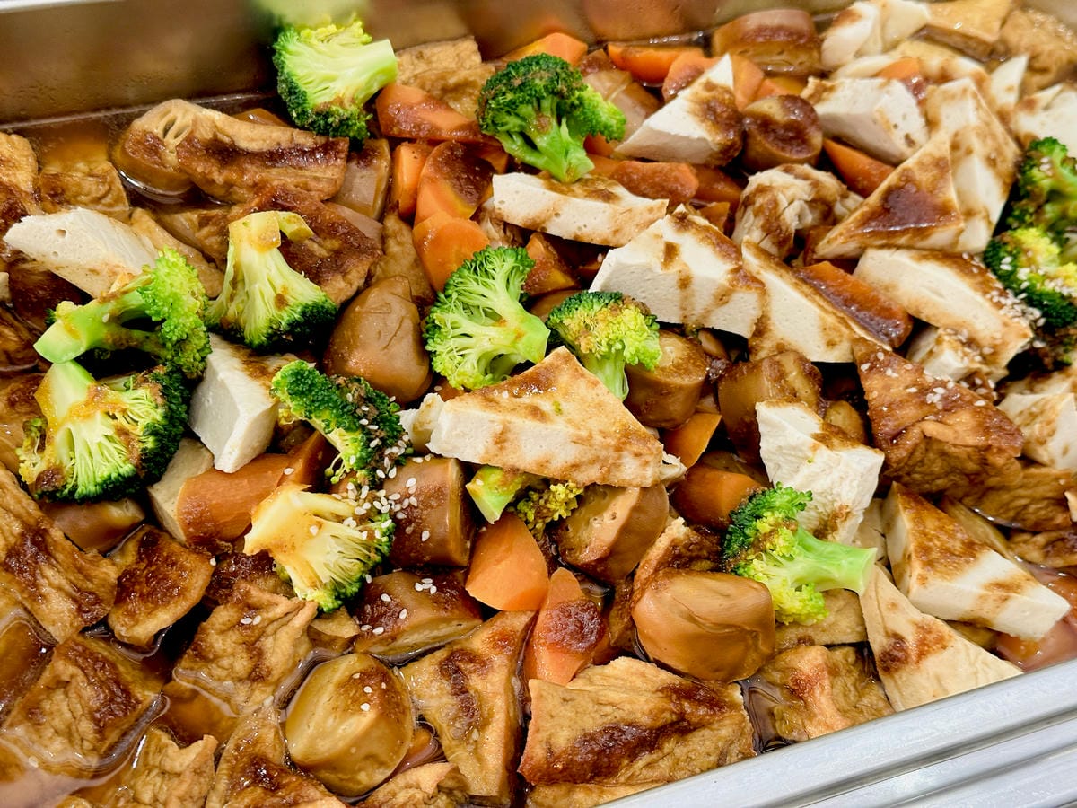 【大板根森林溫泉酒店】新北三峽寵物親子房入住開箱森林、溫泉