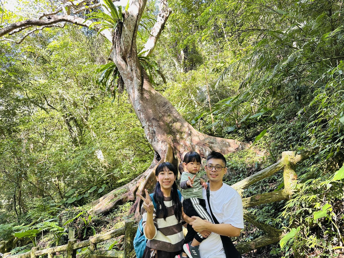 【大板根森林溫泉酒店】新北三峽寵物親子房入住開箱森林、溫泉