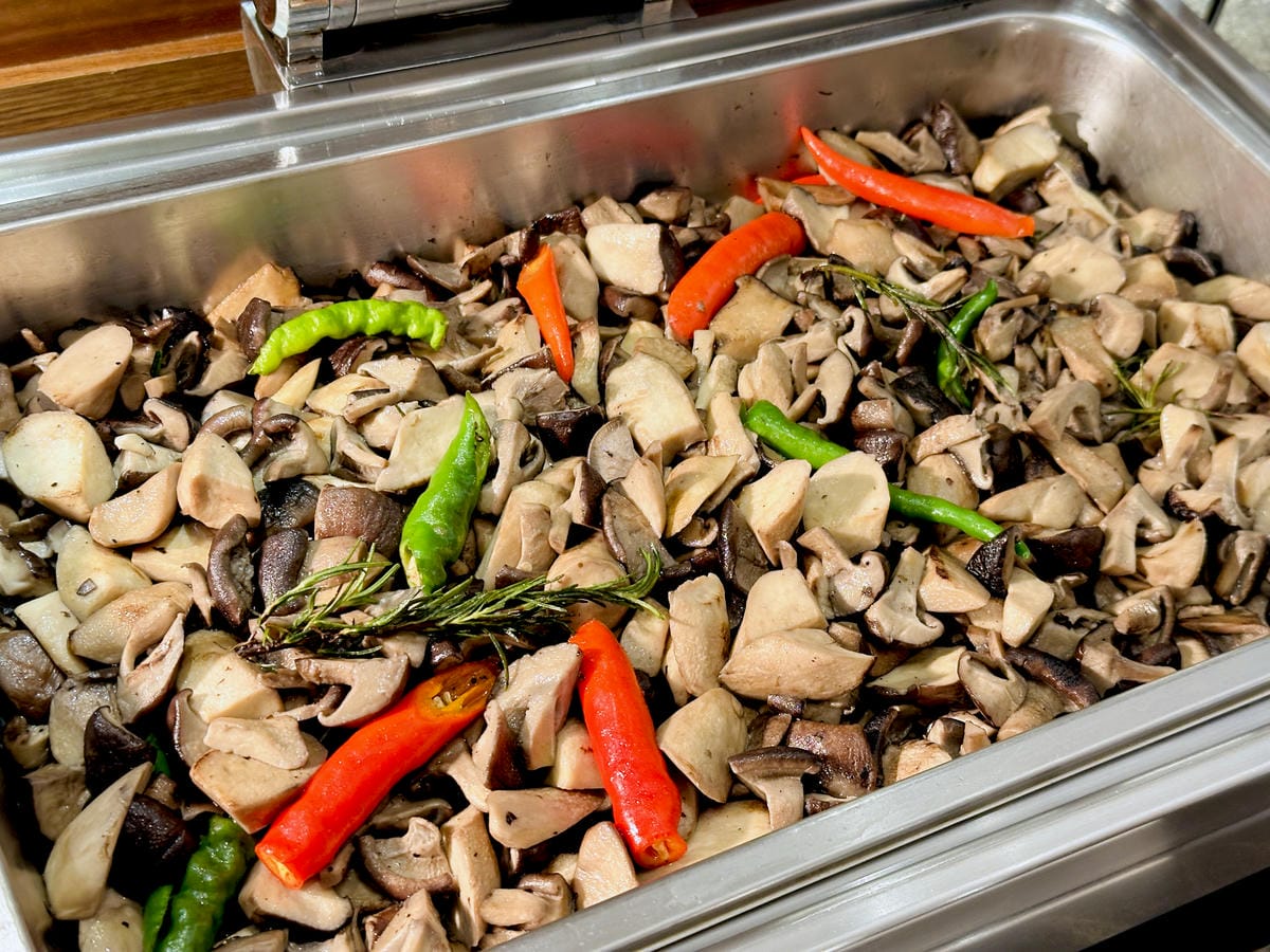 【大板根森林溫泉酒店】新北三峽寵物親子房入住開箱森林、溫泉