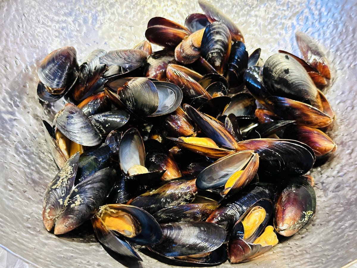 【大板根森林溫泉酒店】新北三峽寵物親子房入住開箱森林、溫泉