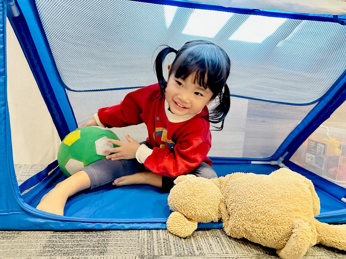 【大板根森林溫泉酒店】新北三峽寵物親子房入住開箱森林、溫泉