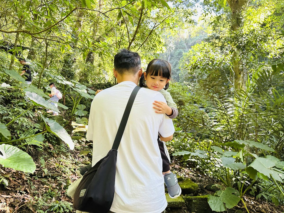 【大板根森林溫泉酒店】新北三峽寵物親子房入住開箱森林、溫泉