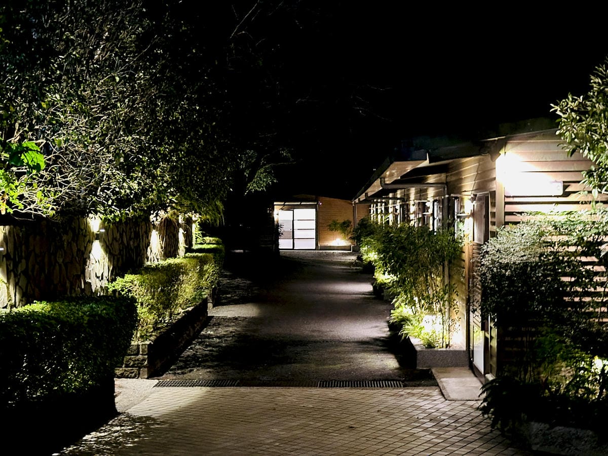 【大板根森林溫泉酒店】新北三峽寵物親子房入住開箱森林、溫泉