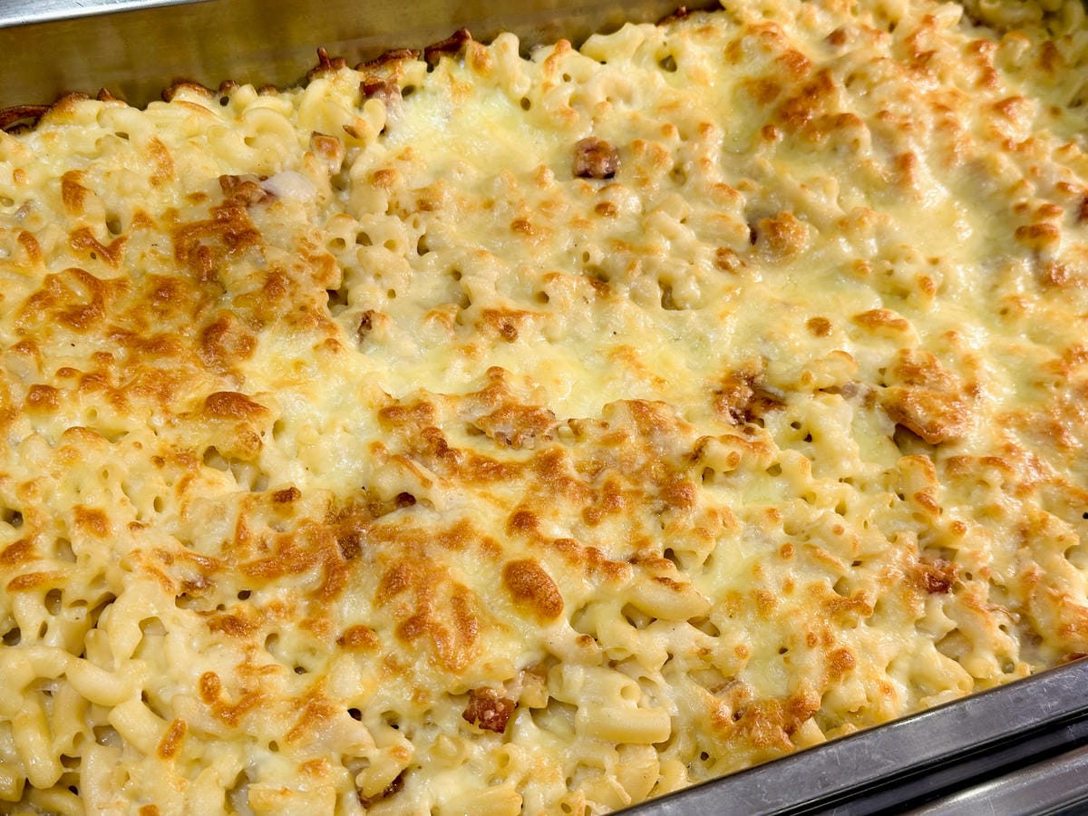 【大板根森林溫泉酒店】新北三峽寵物親子房入住開箱森林、溫泉