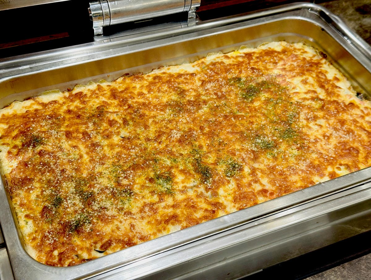 【大板根森林溫泉酒店】新北三峽寵物親子房入住開箱森林、溫泉