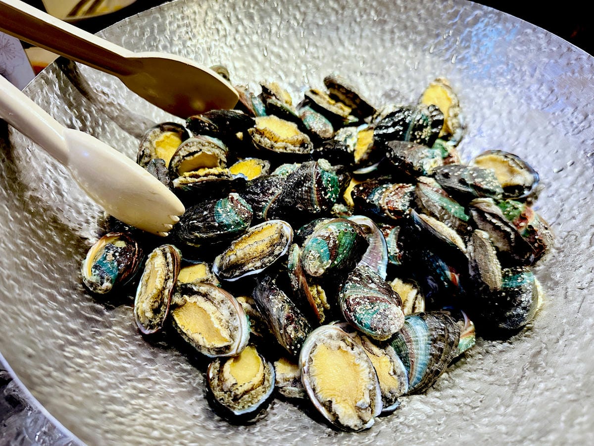 【大板根森林溫泉酒店】新北三峽寵物親子房入住開箱森林、溫泉