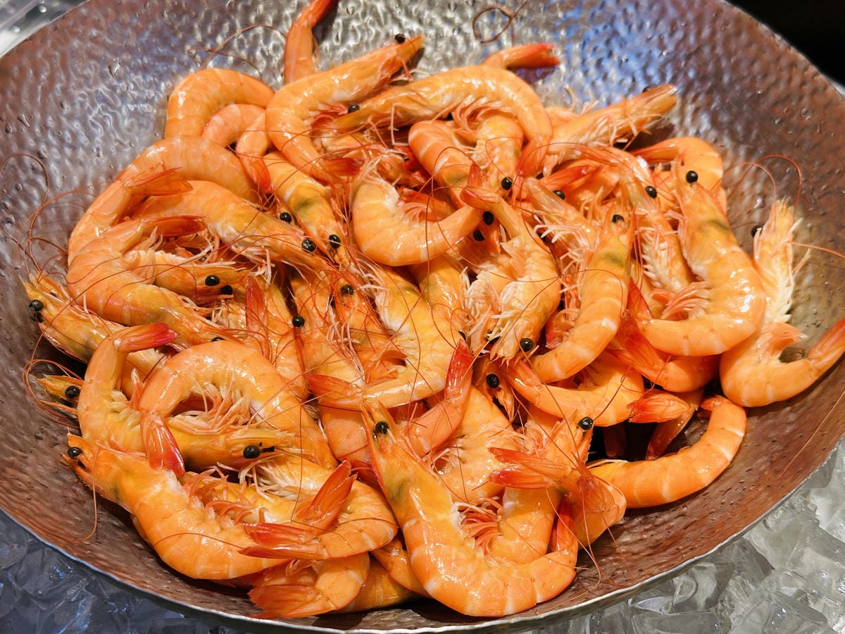 【大板根森林溫泉酒店】新北三峽寵物親子房入住開箱森林、溫泉