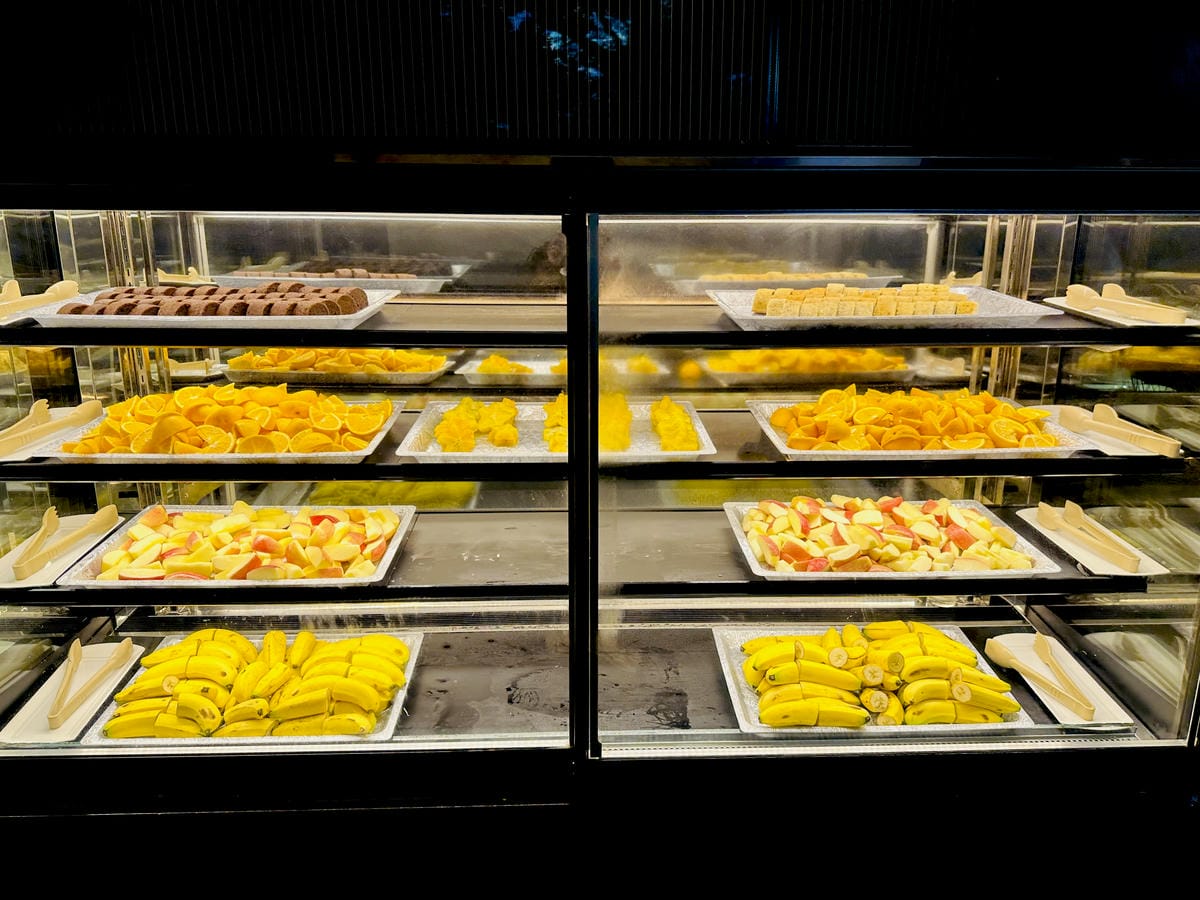 【大板根森林溫泉酒店】新北三峽寵物親子房入住開箱森林、溫泉