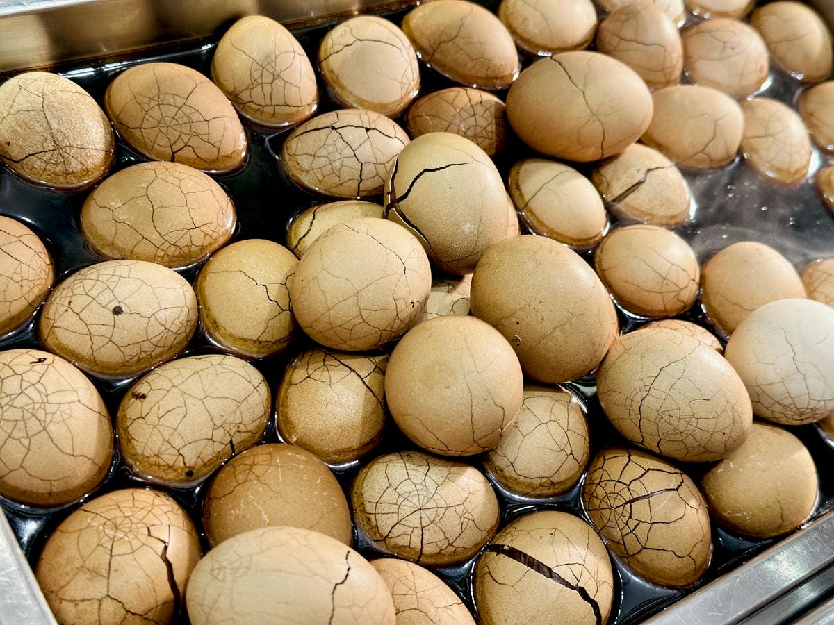 【大板根森林溫泉酒店】新北三峽寵物親子房入住開箱森林、溫泉