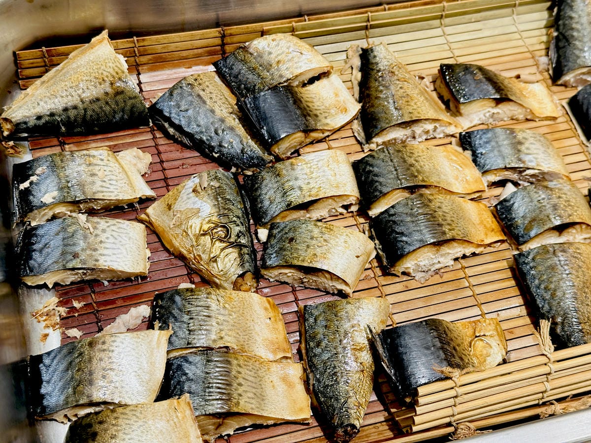 【大板根森林溫泉酒店】新北三峽寵物親子房入住開箱森林、溫泉