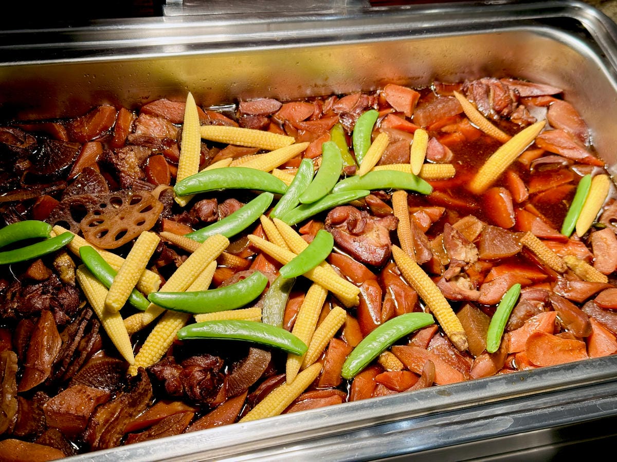 【大板根森林溫泉酒店】新北三峽寵物親子房入住開箱森林、溫泉