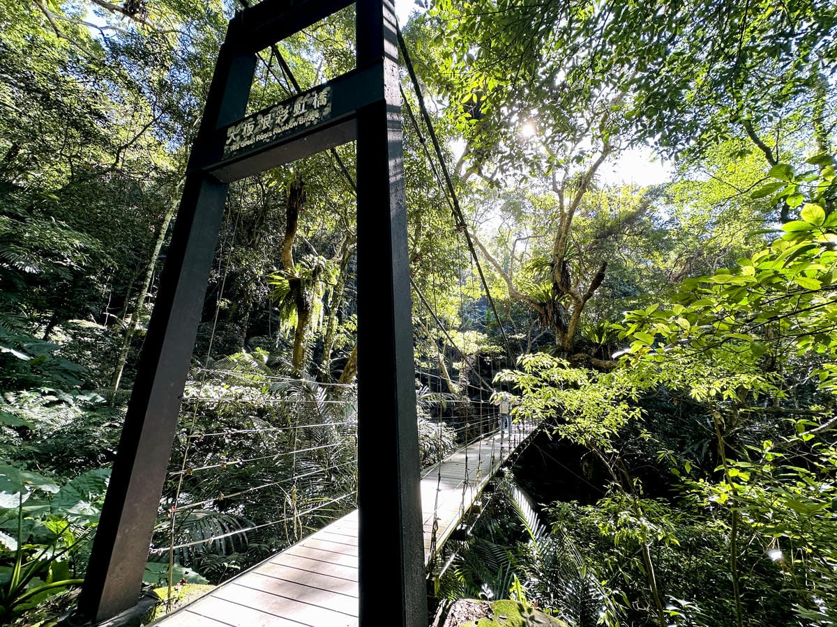 【大板根森林溫泉酒店】新北三峽寵物親子房入住開箱森林、溫泉