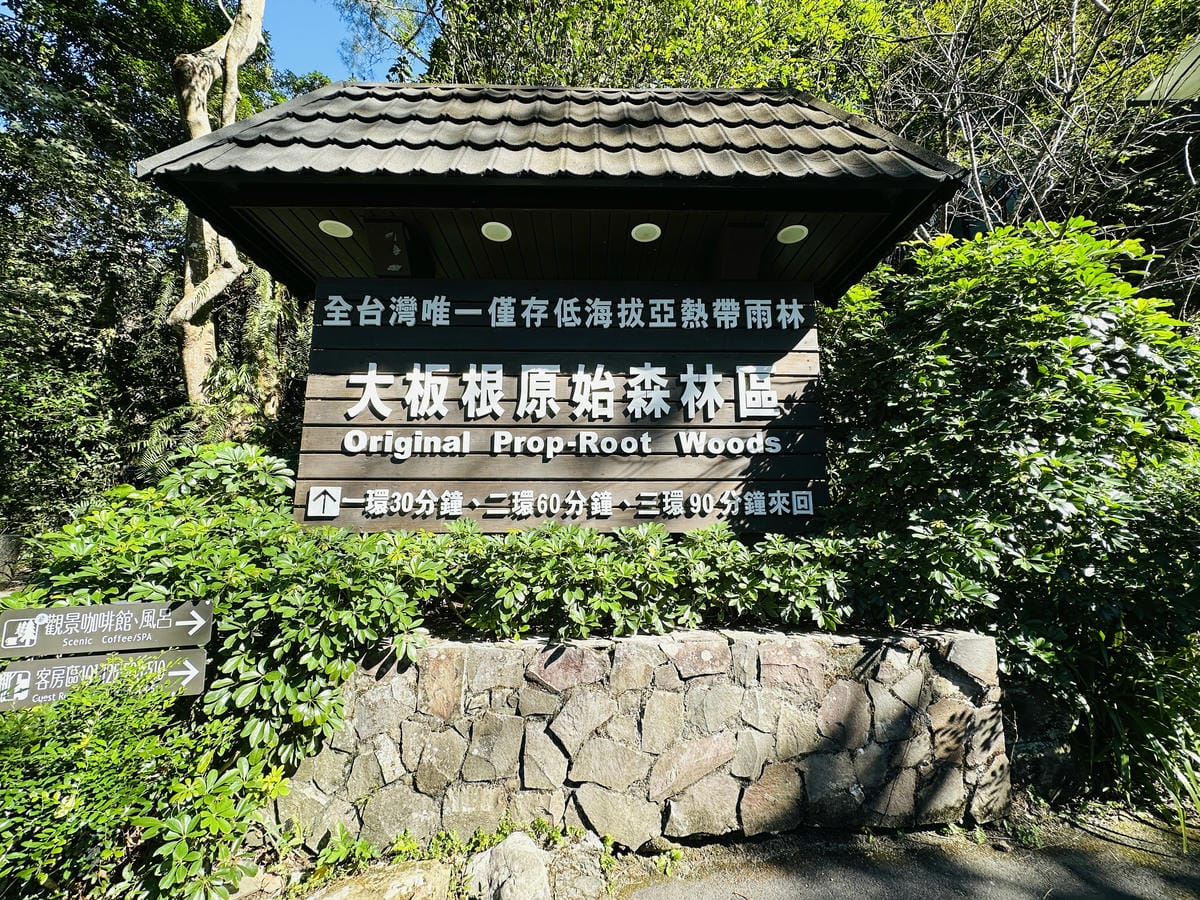 【大板根森林溫泉酒店】新北三峽寵物親子房入住開箱森林、溫泉